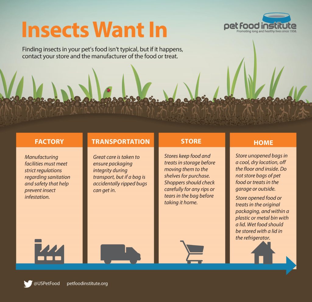 insects-want-in-steps-to-prevent-infestation-from-ingredient-to-bowl