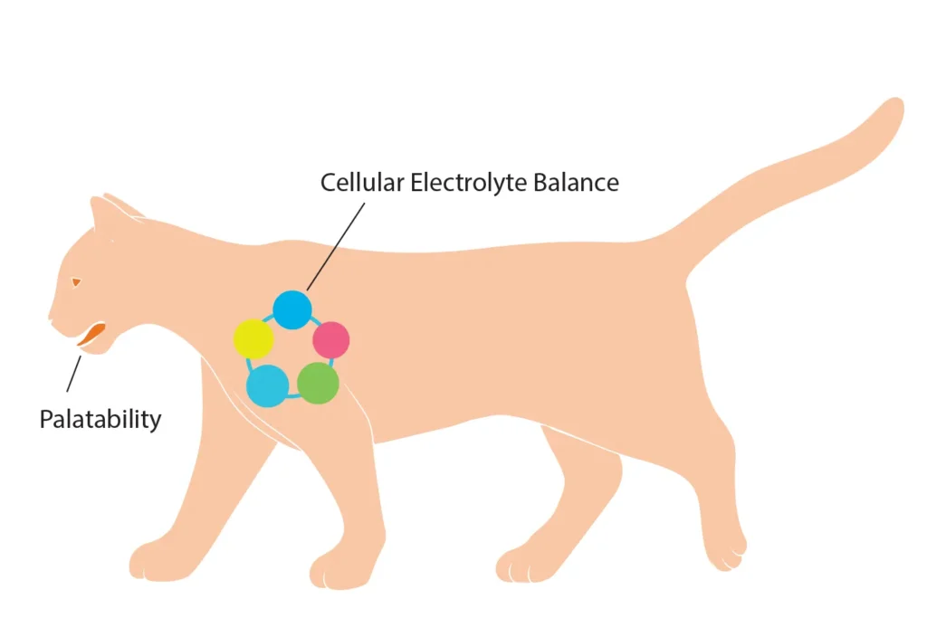 Diagram of a cat showing the benefits of sodium on cellular electrolyte balance and palatability.
