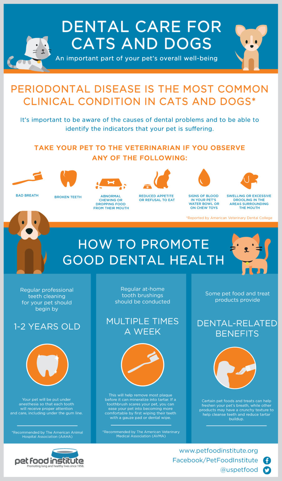 PFI Dental Health Infographic - Pet Food Institute